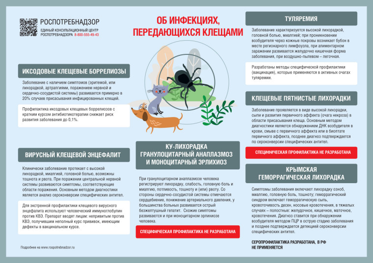 Роспотребнадзор предупреждает.